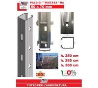 PALO TESTATA 60X70 PALI VIGNETO RECINZIONE ACCIAIO ZINCATO CEMENTO CORDA TUTORI