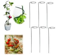 Palo Twist per pomodoro, picchetti a spirale per pomodori, picchetti di supporto per piante rampicanti, pali da giardino in metallo, supporto per piante a spirale per piante in vaso, pomodoro (6