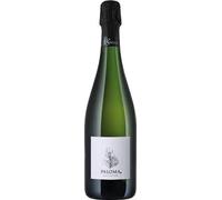 Paloma brut nature metodo classico La Sibilia