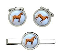 Palomino Cavallo Gemelli E Fermacravatta Set