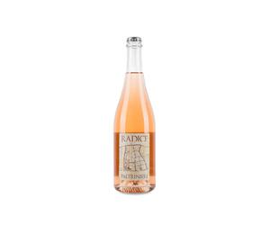 Paltrinieri Lambrusco di Sorbara Radice 2024