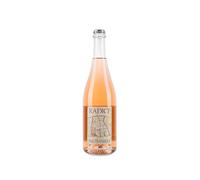 Paltrinieri Lambrusco di Sorbara Radice 2025