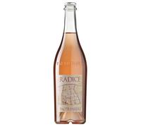 Paltrinieri Radice Lambrusco di Sorbara DOC Rosato 2024 0,75 ℓ