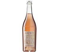 Paltrinieri Radice Lambrusco di Sorbara DOC Rosato 2025 0,75 ℓ