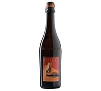 Paltrinieri Solco Emilia Lambrusco IGT 2025 0,75 ℓ