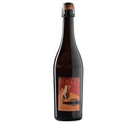 Paltrinieri Solco Emilia Lambrusco IGT 2025 0,75 l