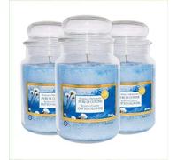Palucart Candele profumate in Giara grande set da 3 candele profumate relax candle (Fiori di cotone)
