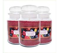 Palucart Candele profumate in Giara grande set da 3 candele profumate relax candle (Frutti di bosco)