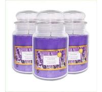 Palucart Candele profumate in Giara grande set da 3 candele profumate relax candle (Lavanda)