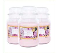 Palucart Candele profumate in Giara grande set da 3 candele profumate relax candle (Rosa)