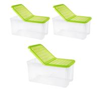 PALUPLUS 3 Contenitori Portabiancheria, misura 57x39x25,7 cm e capacità 41,5 Lt, Box Trasparente con Coperchio Pieghevole, Organizer salvaspazio per Scarpe, Vestiti, Giocattoli -1293C -4,5 (Verde)