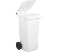 PALUPLUS Bidone Porta Rifiuti da 120 Litri, Misura 48x55x93 cm, Pattumiera con Coperchio, Ruote e Maniglia, Secchio da Esterno per Raccolta Differenziata -120F -11 (Bianco)