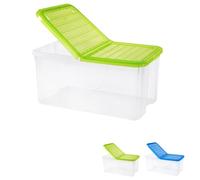 PALUPLUS Contenitore Portabiancheria, misura 57x39x25,7 cm e capacità 41,5 Lt, Box Trasparente con Coperchio Pieghevole, Organizer salvaspazio per Scarpe, Vestiti, Giocattoli -1293C -2,2 (Verde)