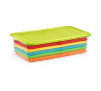 PALUPLUS Contenitore Portabiancheria, misura 60x40x17 cm e capacità 27 Lt, Box Trasparente con Coperchio, Organizer salvaspazio per Scarpe, Vestiti, Giocattoli -1149 (Verde)