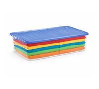 PALUPLUS Contenitore Portabiancheria, misura 60x40x17 cm e capacità 27 Lt, Box Trasparente con Coperchio, Organizer salvaspazio per Scarpe, Vestiti, Giocattoli -1125 (Blu)