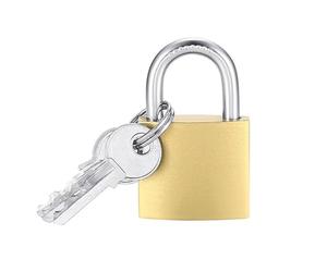 Paluplus Lucchetto a Cilindro in Metallo da 40 mm, lucchetto di sicurezza ad arco con 3 Chiavi, per recinzioni esterne, cassette attrezzi, armadi, valigie -1961