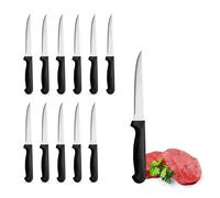 PALUPLUS Set 12 Coltelli da Carne a PUNTA in Acciaio Inox, Lunghezza 21 cm, Lama Seghettata e Temprata, Impugnatura Ergonomica, Coltelli da tavola per Bistecca e Pizza, Made Italy -997