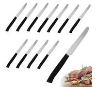 PALUPLUS Set 24 Coltelli da Carne con Punta TONDA in Acciaio Inox, Lunghezza 21 cm, Lama Seghettata e Temprata, Impugnatura Ergonomica, Coltelli da tavola per Bistecca e Pizza, Made Italy -392M