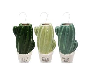 Paluplus Set 3 Evaporatori d'acqua per termosifoni in Ceramica, misura 8,5x4,5x17 cm, Umidificatore e gancio a S, Colore Verde -6355F (Cactus)