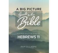 Pam Gillaspie A Big Picture Guide to the Bible (Tascabile)