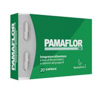 Pamaflor 100 20 capsule