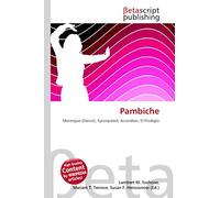 Pambiche: Merengue (Dance), Syncopated, Accordion, El Prodigio