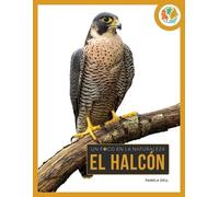 Pamela Dell El Halcón (Tascabile)