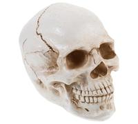 PAMINGONO 1 in Resina per Studio Anatomico Medico, Modello Didattico per Apprendimento e Insegnamento, Decorazione per Feste a Tema Halloween e Ambienti Terapeutici