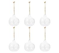 PAMINGONO 6 Pezzi Vasi Sospesi in Vetro Trasparente per Micro Paesaggi Decorazioni Interno ed Esterno Eleganti Contenitori per Piante Idroponiche e Accessori Casa