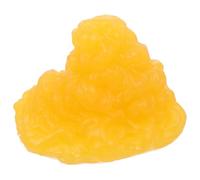 PAMINGONO Modello Anatomico Grasso Corporeo 1 Libbra in Tpe Realistico per Apprendimento Scientifico ed Esposizione Fitness Educativa