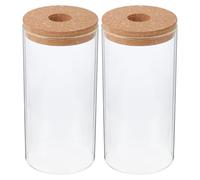 PAMINGONO Set 2 Bottiglie in Vetro Borosilicato Cilindriche per Micro-Paesaggio Fai da Te Contenitore Decorativo per Piante Succulente e Copertura Vegetale Vaso Trasparente da Tavolo per