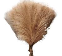 Pampas Decorative 1/5/10/30 pezzi di erba artificiale della pampa, bouquet, decorazione for vaso Natale, giardino, camera da letto, tavolo, fai te(058Brown coffee,5pcs)