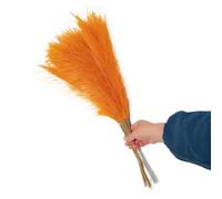 Pampas Decorative 55 cm erba artificiale di pampas, pomposa, riempitivo for vasi, fiori for casa, soggiorno, cucina, matrimonio(Orange 55cm,5pcs)