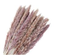 Pampas Decorative Bouquet di fiori secchi serie erba pampa nera soffice circa 45 cm, code coniglio, canne, piume decorative for decorazioni for feste matrimonio(Pampas Grass Natural,30 pcs a lot)