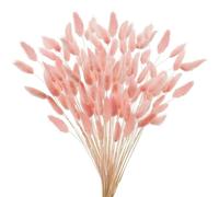 Pampas Decorative Bunny Tails Dried Flowers,White Natural Dry Pampas,Eternal Rabbit Tails Grass For Vase,Arrangement Wedding,Home,Hotel Decoration Pampas Grass(Light Pink,20Pcs)