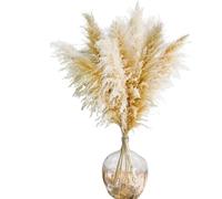 Pampas Decorative Decorazione in erba di pampa naturale da 50-60 cm - in essiccata grandi dimensioni for vasi pavimento, fiori matrimonio, decorazioni for la casa e il soggiorno(50-60cm,10pcs)