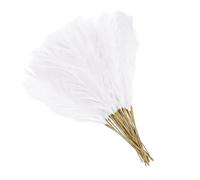 Pampas Grass Decor - 100 Pieces Christmas Decoration Artificial Branch | Decorative Holiday Stems for Homeowners Decorators Home Office Apartment Coffee Shop Bedroom Living Room Party