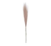 Pampas Grass - Pampass Grrass Per Bouquet | Decorazione Di Erbe Pampaass Finto, Alta Decorazion Di Boho Falso Artificiale, Reed Bulrush Gras Di Pampasses