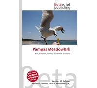 Pampas Meadowlark: Bird, Icteridae, Habitat, Shrubland, Grassland