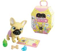 Simba - Pamper Petz Bulldog Francese, con accessori, gender reveal, certificato di adozione, +3 anni, 105950098