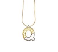 PAMTIER Initial Collane per Donne A-Z Lettera Gold Plated Acciaio Inossidabile Personalizzato Dichiarazione Delicato Alfabeto Catena Serpente Piccolo Elegante Delicato Ciondolo Gioielli Oro Lettera Q