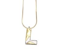 PAMTIER Initial Collane per Donne A-Z Lettera Gold Plated Acciaio Inossidabile Personalizzato Dichiarazione Delicato Alfabeto Catena Serpente Piccolo Elegante Delicato Ciondolo Gioielli Oro Lettera L