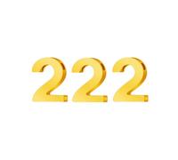 PAMTIER Numero Angelo Collane per Donne 000 111 222 333 444 555 666 777 888 999 Oro/Argento Placcato Semplice Acciaio Inossidabile Delicato Ciondolo Personalizzato Gioielli Oro Numero 222