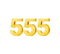 PAMTIER Numero Angelo Collane per Donne 000 111 222 333 444 555 666 777 888 999 Oro/Argento Placcato Semplice Acciaio Inossidabile Delicato Ciondolo Personalizzato Gioielli Oro Numero 555