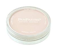 Pan pastel raw umber tint 27808 (japan import)
