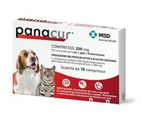 PANACUR*10CPR 250MG