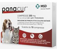 Panacur Compresse 250 MG 10CP