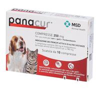 Panacur Compresse 250 Mg Per Uso Orale Per Cani E Gatti 10 Pc Compress