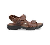 Panama Jack Salton B Marrone