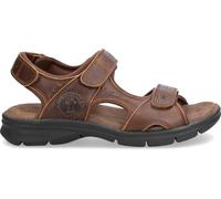 Panama Jack Salton Basics - Sandali punta aperta Uomo, Marrone (Cuero C4), 42 EU